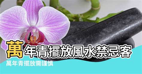 遺照可以放客廳嗎|遺照擺放禁忌指南：妥善安置，好運相伴 